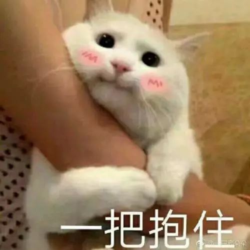 fb3688ad8dee3c26aeab5b7514479acd.jpg